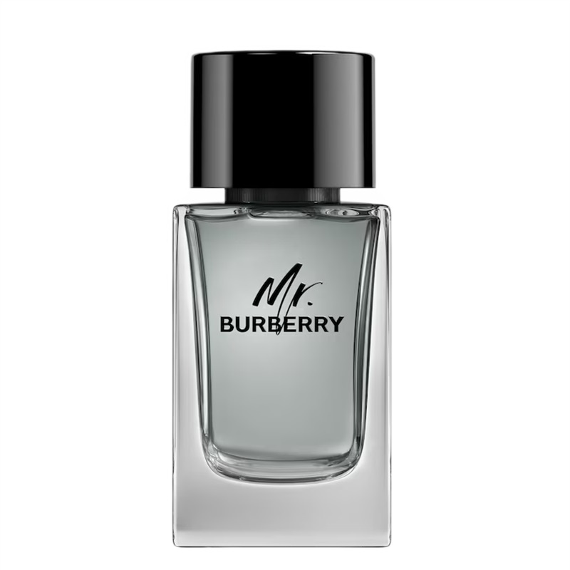 Burberry Mr. Burberry for Men Eau de toilette Apă de toaletă